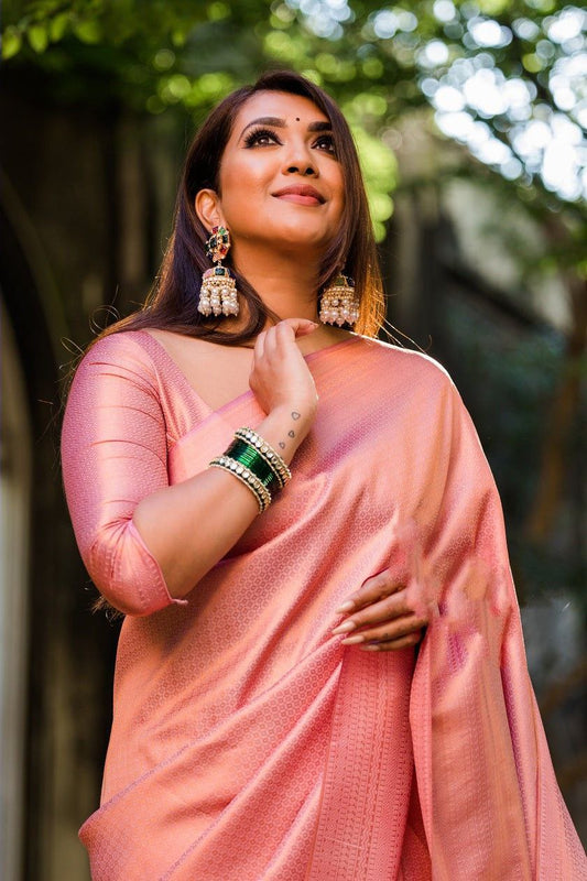 Light Pink Pure Silk Kanjivaram saree for women with border and designer blouse